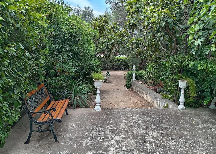 Daniela ماكارسكا