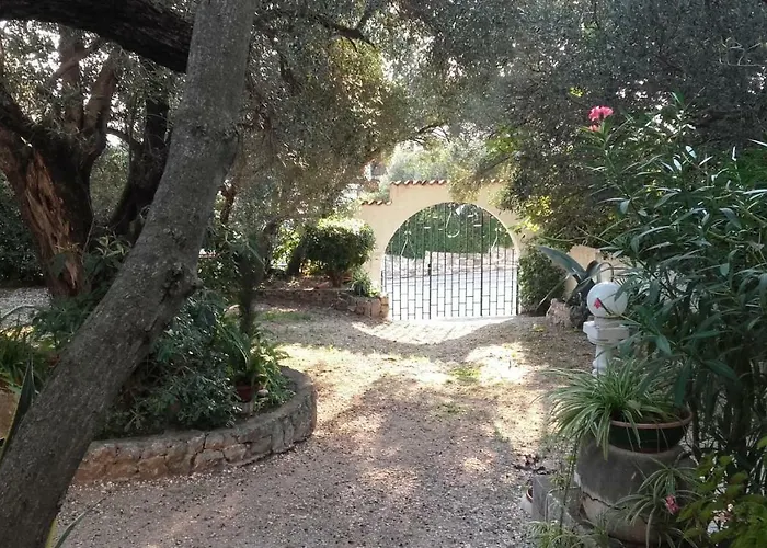 Daniela * ماكارسكا